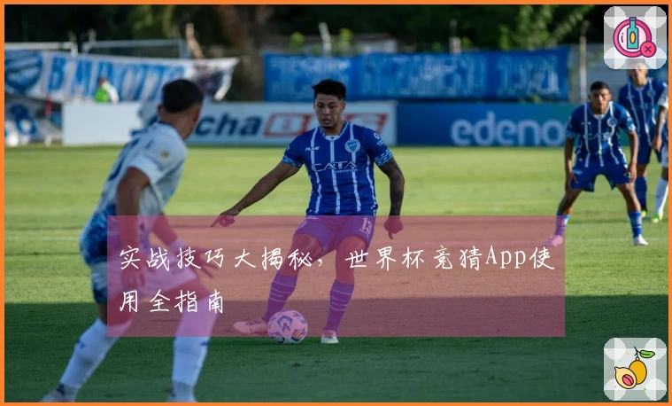 实战技巧大揭秘，世界杯竞猜App使用全指南