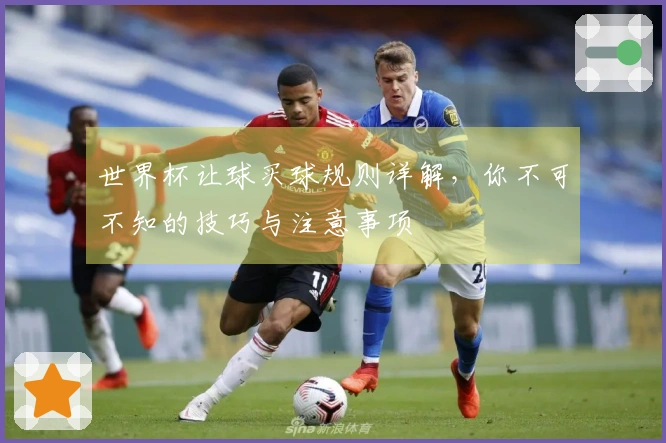 世界杯让球买球规则详解，你不可不知的技巧与注意事项
