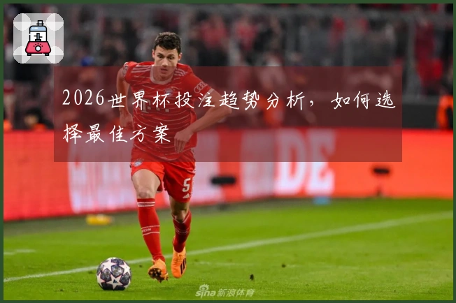 2026世界杯投注趋势分析，如何选择最佳方案