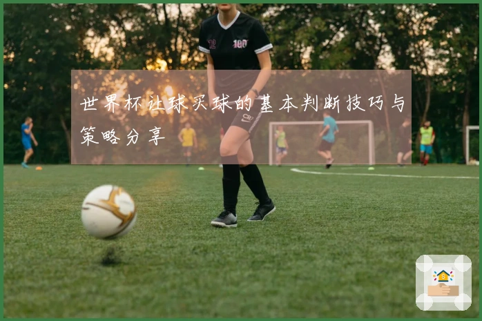 世界杯让球买球的基本判断技巧与策略分享