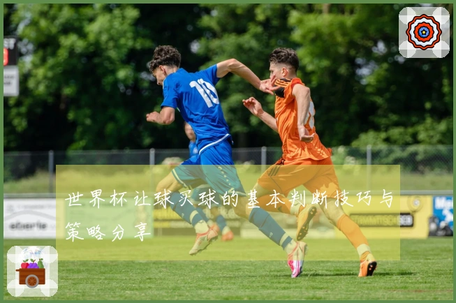 世界杯让球买球的基本判断技巧与策略分享