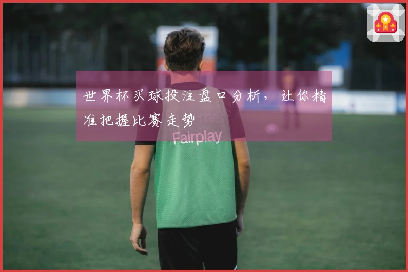 世界杯买球投注盘口分析，让你精准把握比赛走势