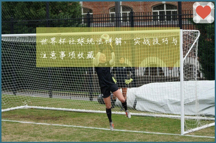 世界杯让球玩法详解，实战技巧与注意事项收藏