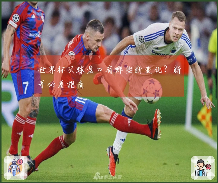 世界杯买球盘口有哪些新变化？新手必看指南