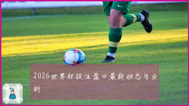 2026世界杯投注盘口最新动态与分析