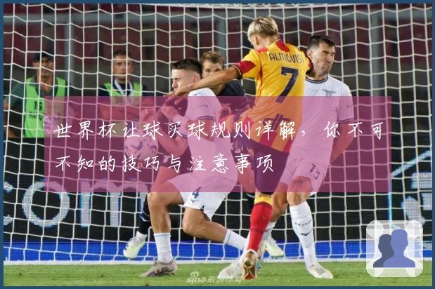 世界杯让球买球规则详解，你不可不知的技巧与注意事项
